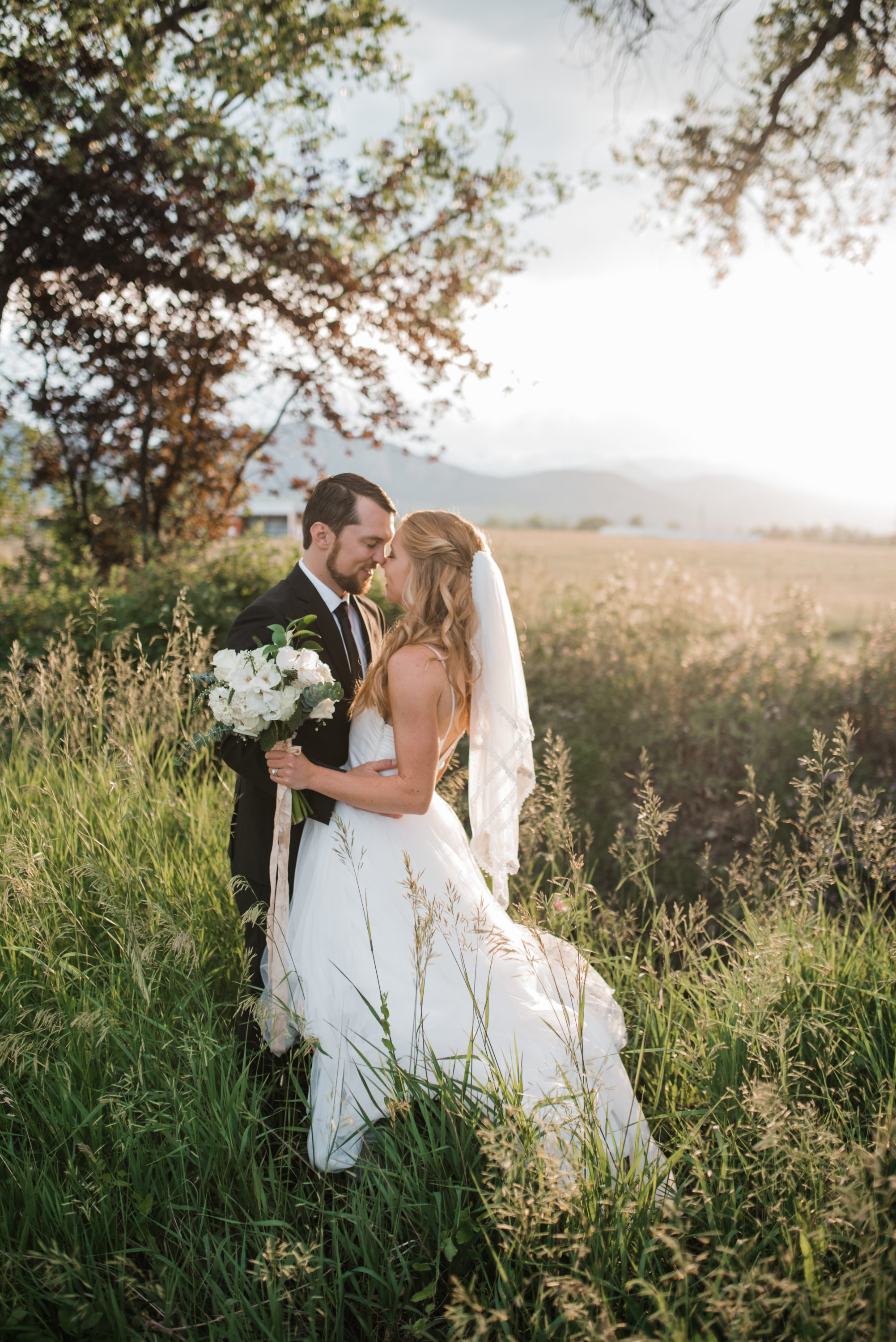 boulder backyard wedding in open field at sunset